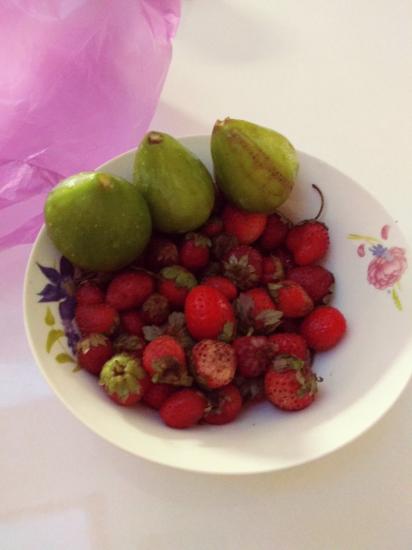 Вкусняшек в ленту 🤤🤤🤤🤤🤤🤤🤤🤤🤤🤤🤤🤤🤤🤤🤤🤤🤤🤤🤤🤤🤤