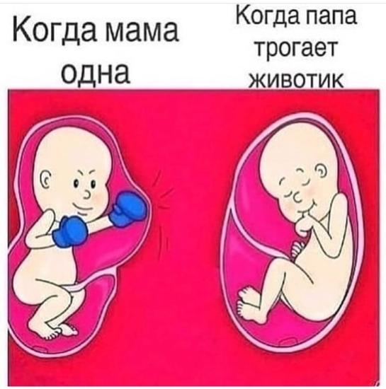 Точно про мою беременность 😄