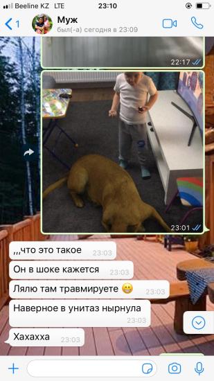 Вас наверное уже Зае скины сегодня