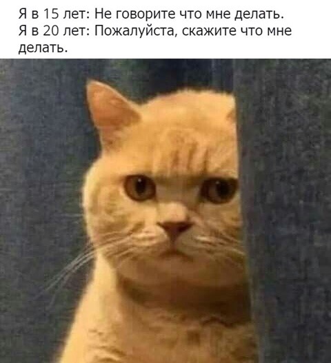 👋🏻🙂