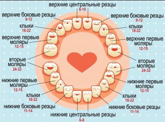 ЗУБЫ И ЗУБИЩЕ🤪 Часто мамы спрашивают