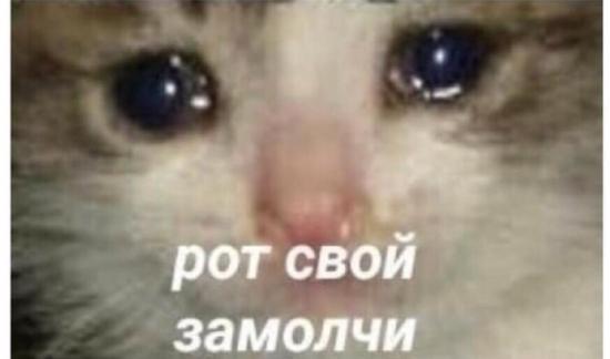 #яжематерипост Батут в парке ленинского