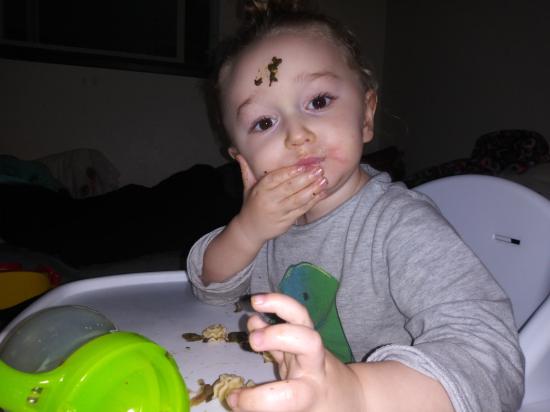 Last night, Mowgli's dinner faces