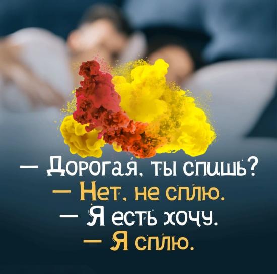Муж - жаворонок🐦, я - сова🦉, а