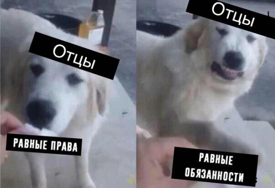 А каково ваше мнение? Раунд😄 Имеется