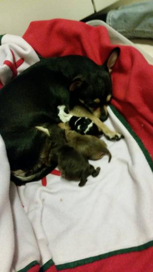 Here's when she only had 3.