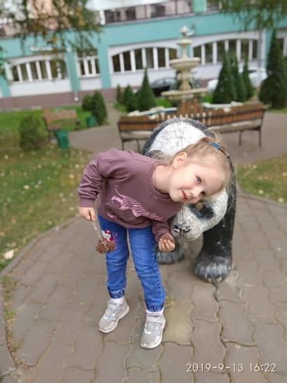 Весело погуляли, все шишки собрали))😁