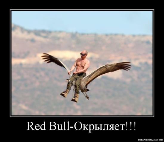 Жутко хочется РедБулл😱😱😱😫кошмар