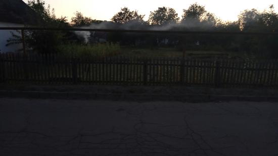 И при этом по всему пгт расклеяны