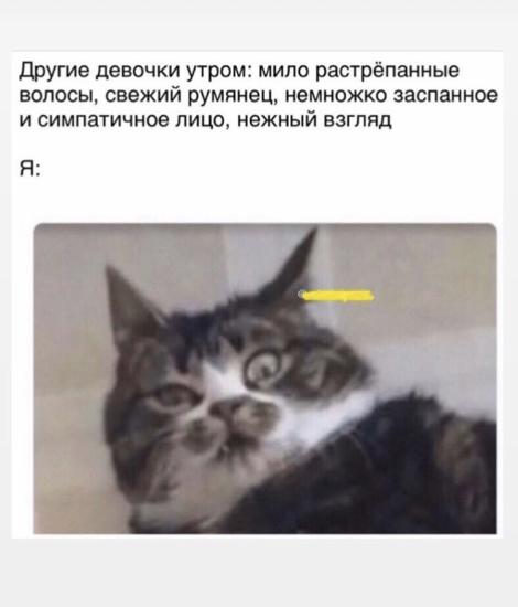 Девочки, чьи дети родились недоношенными