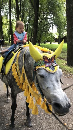 Сегодня день открытий! Нет, безусловно,