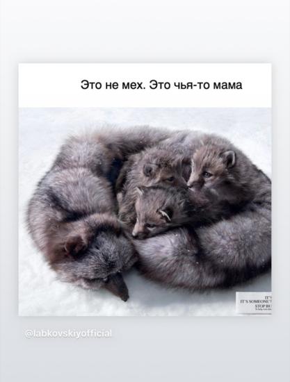 А вы какого мнения ?