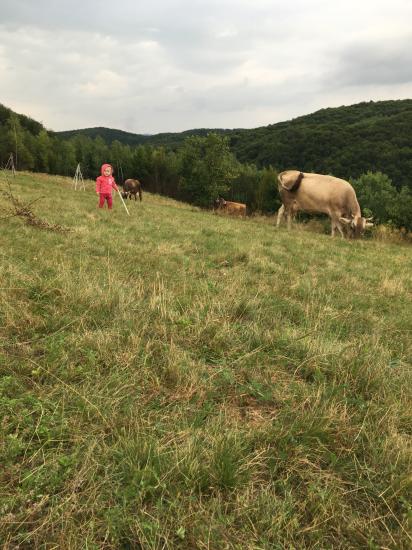 Ітаак завсім недавно я питалась