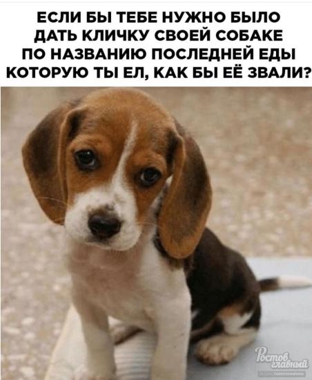 Поиграем