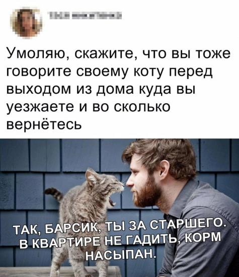 Я так делаю 🤣