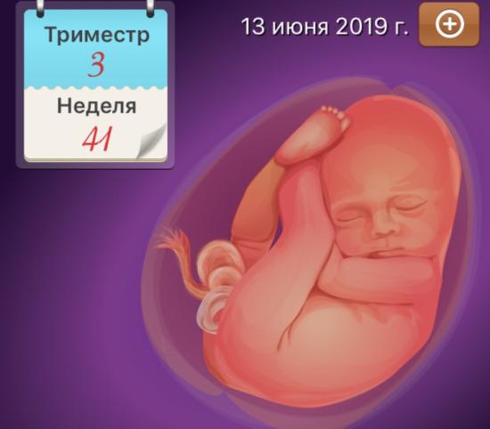 девочки, доброе утро, у меня дилемма