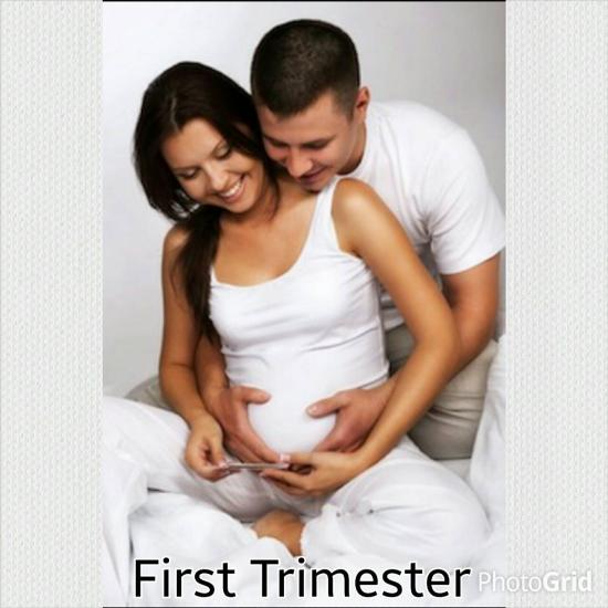 A Mans Guide to the First Trimester The