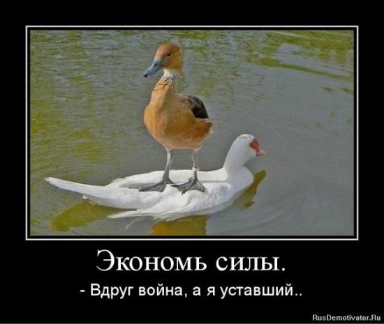 Я не сознательная мать, пдр был