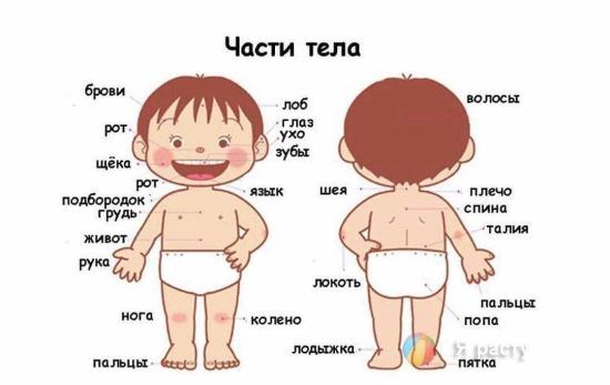 ЗАГАДКИ ПРО ЧАСТИ ТЕЛА 😋 ⠀ Оля