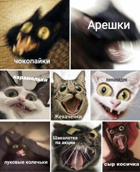 Миниатюра «я и магазин....» Что