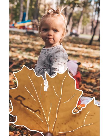 Немного прекрасной погоды 🍁
