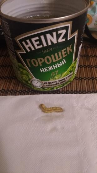 Какая жесть папалась 😫