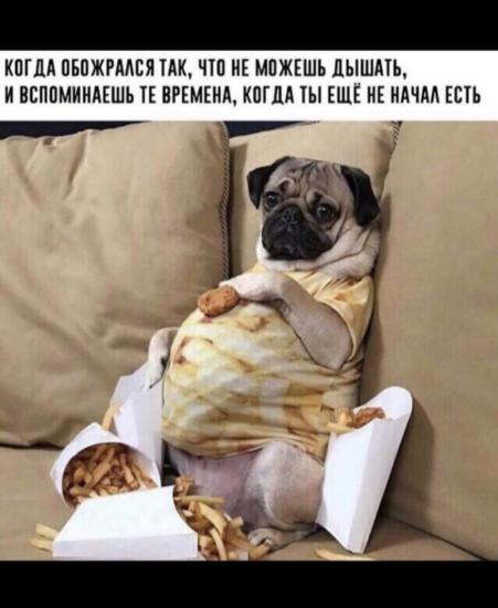Божечки это же я)))))))