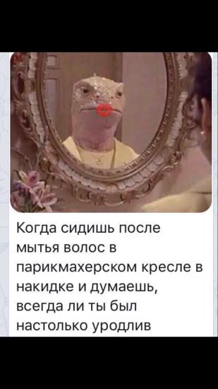 Девочки, какими тоналками пользуетесь?)