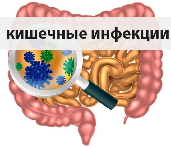 Начнём тему кишечных инфекций !