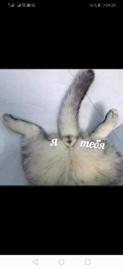 😅