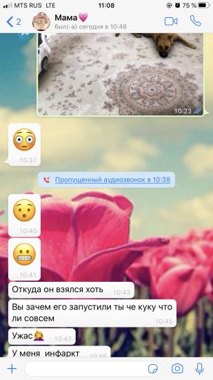 Если б моя мама жила со мной в