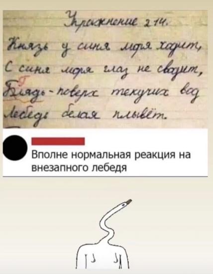 Рубрика : #ржакананочь 😹