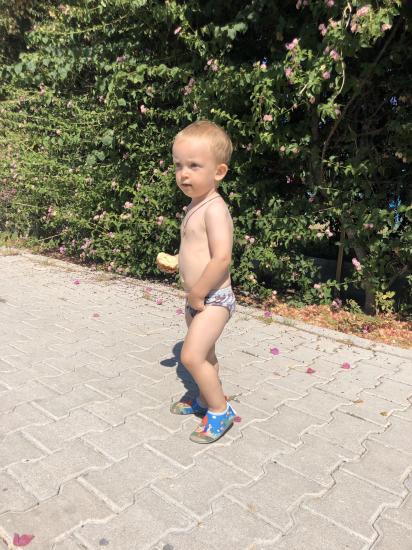 Тема горшка 🤪расскажите когда и