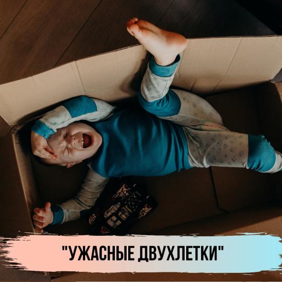 «Двухлетка в доме- как блендер