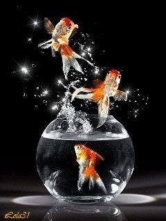 К чему сняться 🐠?
