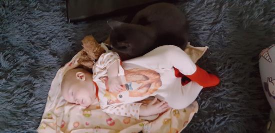 На этой неделе дочка Анечка делала